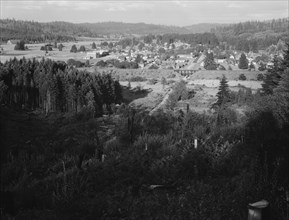 Looking down on western Washington...,Tenino, Thurston County, Western Washington, 1939. Creator: Dorothea Lange.