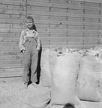 Possibly: One of the younger Cleaver boys on new farm in Malheur County, Oregon, 1939. Creator: Dorothea Lange.