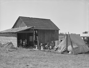 Bean pickers camp in grower's yard - no running..., near West Stayton, Marion County, Oregon, 1939. Creator: Dorothea Lange.