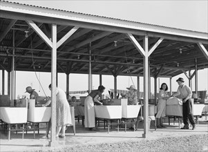 Laundry facilities in FSA camp for migrant labor, Westley, California, 1939. Creator: Dorothea Lange.