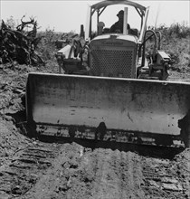 Bulldozer equipped with grader..., Nieman farm, near Vader, Lewis County, Western Washington, 1939. Creator: Dorothea Lange.
