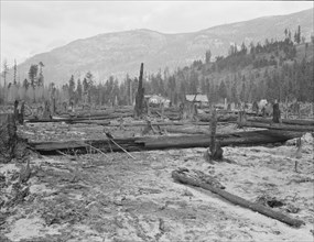 New farm home, Boundary County, Idaho, 1939. Creator: Dorothea Lange.