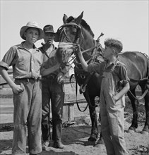 Hired man helps the farmers' oldest boy on the Myers farm. Washington, near Outlook, Yakima County.