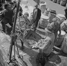 New York, New York. Fulton fish market stevedores unloading and weighing fish in the early morning.