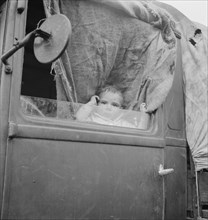 Baby from Mississippi parked in truck at FSA (Farm Security Administration) camp, Merrill, Oregon.