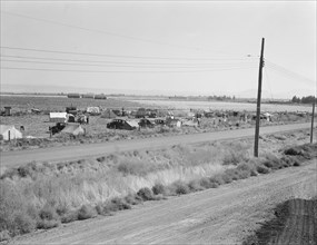 Camp of migrant potato pickers seen from potato shed across the road. Siskiyou County, California.