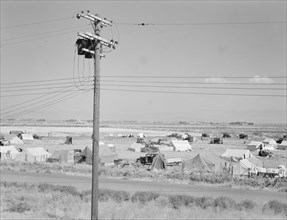 Camp of migrant potato pickers seen from the packing shed. Tulelake, Siskiyou County, California.