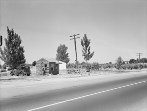 Between Tulare and Fresno, California. [Accommodation for farm workers: 'New  Cabins Now Open'].
