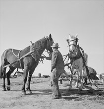 Mr. Browning prepares to go into the field to mow his hay. Dead Ox Flat, Malheur County, Oregon.