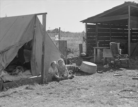 Bean pickers' camp in grower's yard. No running water. Marion County, near West Stayton, Oregon.