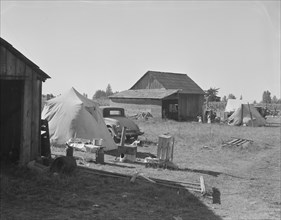 Bean pickers' camp in grower's yard. No running water. Oregon, Marion County, near West Stayton.