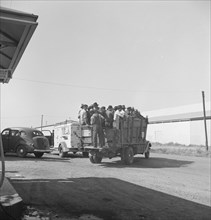 Labor contractor's truck with gang of pea pickers, pulled up for gas. Near Westley, California.