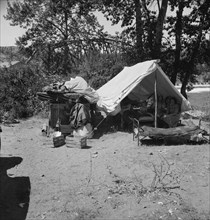 Camp of migratory family originally from Texas in "Ramblers Park." Yakima Valley, Washington.