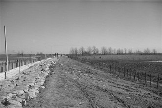The Bessie Levee augmented with sand bags during the 1937 flood near Tiptonville, Tennessee.