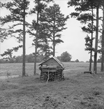 Henhouse on Negro tobacco farm. Note pine trees, road, field. Person County, North Carolina.