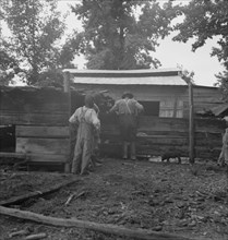Noon time chores of Negro tenant farmer: feeding the pigs. Granville County, North Carolina.