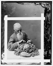 Hendley, John. Wax worker, Agriculture Dept. (His art died with him), between 1890 and 1910.