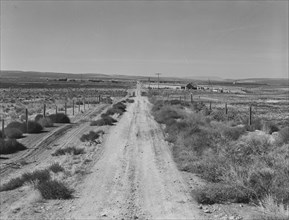 Section of lone road approaching the Schroeder place. Dead Ox Flat, Malheur County, Oregon.