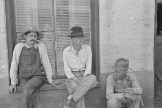 Frank Tengle, Bud Fields, and Floyd Burroughs, cotton sharecroppers, Hale County, Alabama.