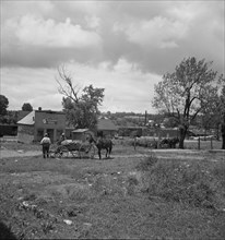 Siler City, North Carolina. Wagons pulled up in field one block away from the main street.