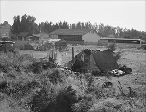 One of the forty potato camps in open field, entering town. Malin, Klamath County, Oregon.