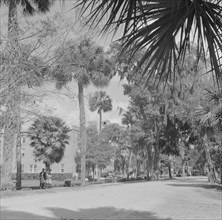 Daytona Beach, Florida. A street which runs through the campus of Bethune-Cookman College.