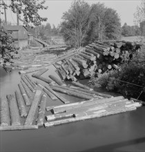 [Untitled, possibly related to: Small sawmill on the Marys River near Corvallis, Oregon].