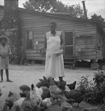 Noontime chores: feeding chickens on Negro tenant farm. Granville County, North Carolina.