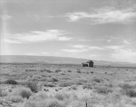 South of Quincy, Grant County, Washington. Abandoned dry land farm in the Columbia Basin.