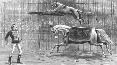 ''The Circus at Covent Garden Theatre with the Lion going through his performance', 1890.