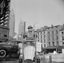 New York, New York. Stevedore who packs and loads crates of fish on the lower east side.