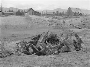 The Unruf family, stump pile, and their partly developed farm. Boundary County, Idaho.