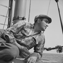 On board the fishing boat Alden out of Gloucester, Massachusetts. Vito Coppola, cook.