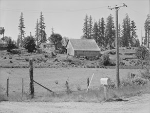 Stump farm. Typical of cut-over area of Western Washington. Lewis County, near Vader.
