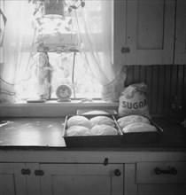A corner of the (T.P.) Schrock kitchen in their new home. Washington, Yakima Valley.