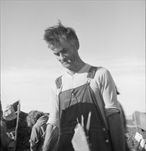 Straw boss of pea packers in the field near Calipatria, Imperial Valley, California.