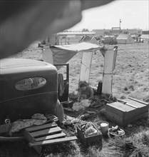 Living conditions for migrant potato pickers. Tulelake, Siskiyou County, California.