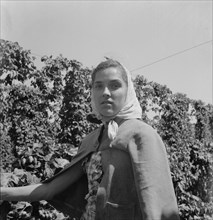 Oregon. Polk County, near Independence. Head of young woman, migratory hop picker.