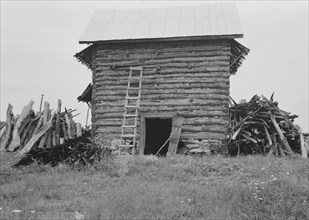 Wood stacked up preliminary to firing the tobacco. Person County, North Carolina.