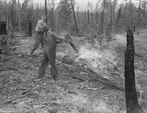 Family work clearing land by burning. Near Bonners Ferry, Boundary County, Idaho.