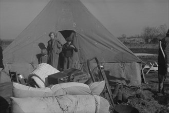 Setting up a tent in the camp for white flood refugees, Forrest City, Arkansas.