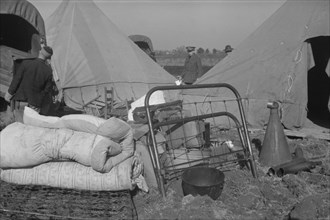 Setting up a tent in the camp for white flood refugees, Forrest City, Arkansas.