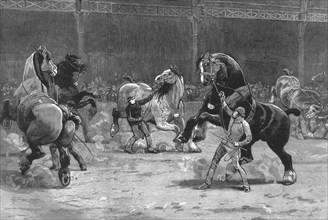 ''The Shire Horse Show at the Agricultural Hall--The effect of applause', 1890.
