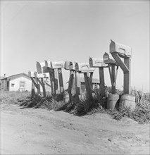 Mail boxes of lettuce workers. Settlement on outskirts of Salinas, California.