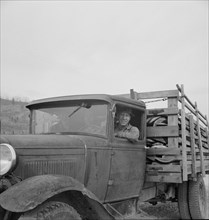 Stump farmer bringing load of slab wood to sell in town. Bonner County, Idaho.