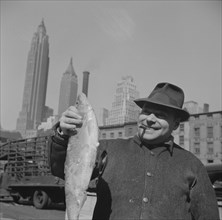 New York, New York. Fisherman holding a large catch at the Fulton fish market.