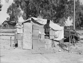House in camp of carrot pullers. Near Holtville. Imperial Valley, California.