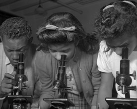 Daytona Beach, Florida. Bethune-Cookman College. Students using microscopes.