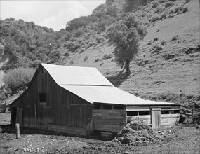 Barn in a valley back of Mission San Jose. Santa Clara County, California.