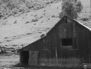 Barn in a valley back of Mission San Jose. Santa Clara County, California.